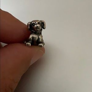 Charmed memories dog charm